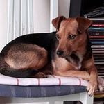 Patrick Renaud - @patrick.renaud32 - Instagram