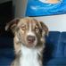Patrick Renteria - Facebook