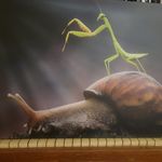Patrick Rhein - @rheinpatrick - Instagram