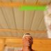 Patrick Rickardo - Facebook