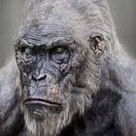 Patrick Ridgway - @ridgway.patrick - Instagram