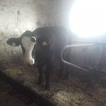 Patrick riederer - @patrickriederer832 - Instagram