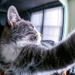 Patrick Rink - @useralreadyknown - Instagram