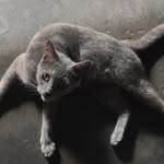 Patrick Rio Kolriry - @patrickriokolriry - Instagram