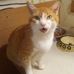 Patrick Rittenhouse - Facebook