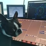 Patrick Robitaille - @patpz - Instagram
