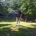 Patrick Robitaille - Facebook