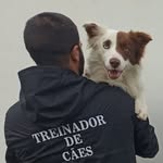 Patrick Rocha | Treino de cães - @patrick_rocha_oficial - Instagram
