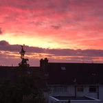 Patrick - @patrick_roche_ - Instagram