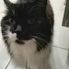 Patrick Roche - @patrick.roche0 - TikTok