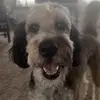 SmokedPatty - @patrick.rockwell1 - TikTok