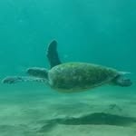 Patrick Rode - @parode77 - Instagram