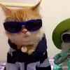 patrick - @patrick_rogan - TikTok
