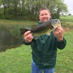 Patrick Rogan - @rogan_patrick - Instagram