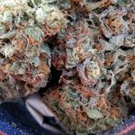 patrick rogan - @rogansmokin14 - Instagram