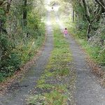Patrick Rogan - @rogan4739 - Instagram