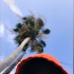 Patrick Rogers Jr. - @patpat412 - Instagram