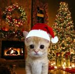 Patrick Rosario - Facebook