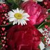 Patrick Jean Rossi - Facebook