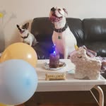 Patrick Rossiter - @patrick.rossiter.56 - Instagram