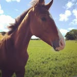 Patrick rossiter - @patrickrossiter12 - Instagram