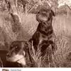 Patrick Rost - @patrick.rost - TikTok