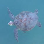 Patrick Rousseau - @patrick.rousseau - Instagram