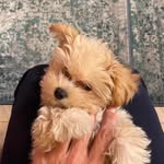 Patrick Rousseau - @patrickrousseau245 - Instagram