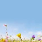 Patrick Rousseau - Facebook