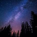 Patrick Rousseau - @patrick_rousseau - Instagram
