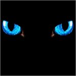 Pat - @_patrick_ruby_ - Instagram