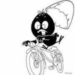 Patrick Ruby - @pat.ruby52 - Instagram