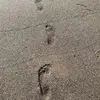 Patrick Rudolf - @patrickrudolf2 - TikTok