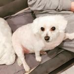 Patrick Rudolf - @patrick.rudolf.3914 - Instagram
