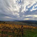 Patrick Rué - @patrickrue37 - Instagram