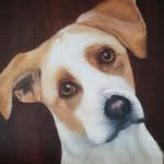 Patrick Rule - @1patrule - Instagram