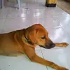 patrickrule08 - @patrickrule08 - TikTok