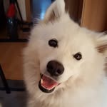 Die Rummelz - @patrick_rummel - Instagram
