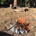 Patrick Rummell - @patrick_rummell - Instagram