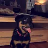 Patrick Russell - @patrickrussell - TikTok