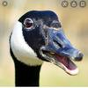 Patrick Russo - @patrickrusso22 - TikTok