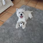 Patrick Sabin - @sabin2830 - Instagram