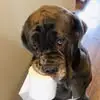 Patrick Losacco - @patrick.losacco - TikTok