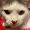 patrickthanasack - @patrickthanasack - TikTok