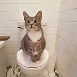 Patrick J Sager - @pgh_pa_pat - Instagram