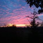 Patrick Säger - @barakuda_87 - Instagram