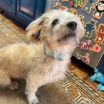 Patrick Sager - @sagerville - Instagram