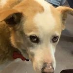 Patrick Sager - @patricksager2ndgrid - Instagram