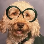 Patrick St. Patrick - @patricksaintpats - Instagram