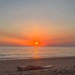 Patrick Salmon - @patrick.salmon.142 - Instagram